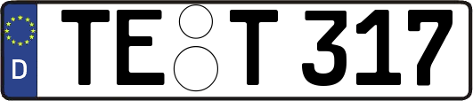 TE-T317