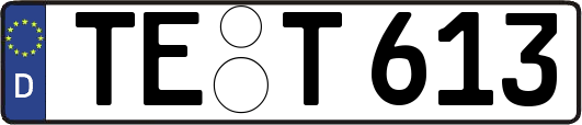 TE-T613