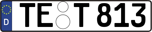TE-T813
