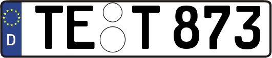 TE-T873