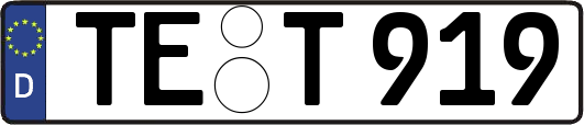 TE-T919