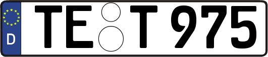 TE-T975