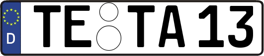 TE-TA13