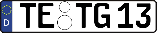 TE-TG13