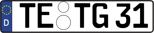 TE-TG31