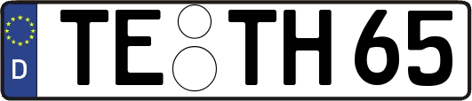 TE-TH65