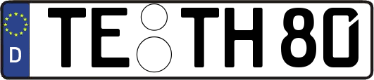 TE-TH80