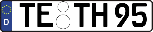 TE-TH95