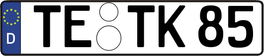 TE-TK85