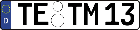 TE-TM13