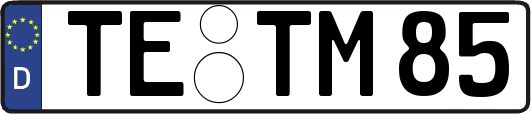 TE-TM85