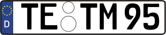 TE-TM95