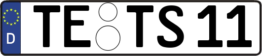 TE-TS11