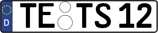 TE-TS12