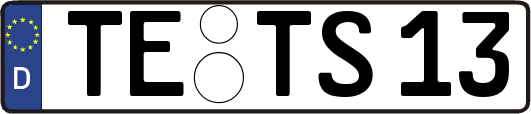 TE-TS13