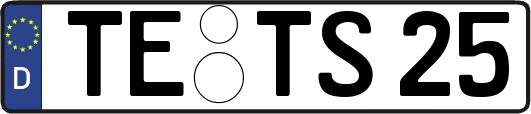TE-TS25