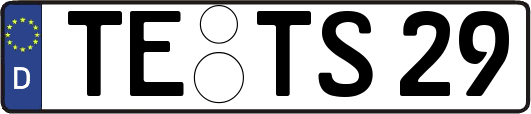 TE-TS29