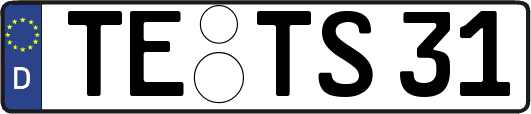 TE-TS31