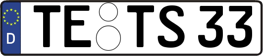 TE-TS33