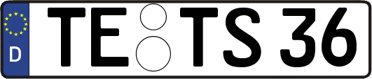 TE-TS36