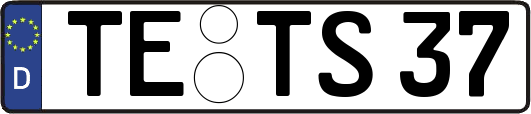 TE-TS37