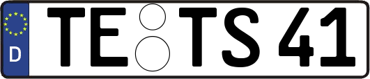 TE-TS41