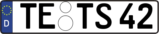 TE-TS42