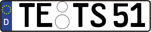 TE-TS51