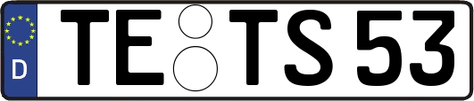 TE-TS53