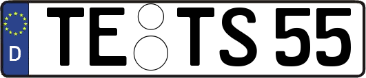 TE-TS55
