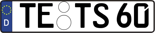 TE-TS60