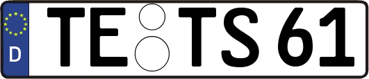 TE-TS61