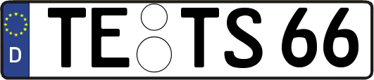 TE-TS66