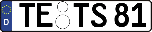TE-TS81