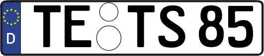 TE-TS85