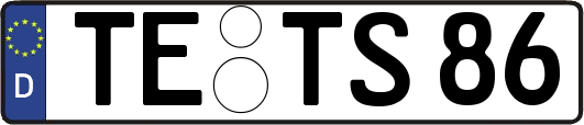 TE-TS86