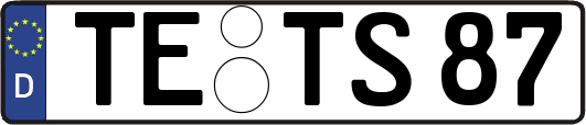 TE-TS87