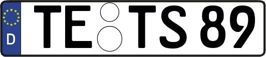 TE-TS89