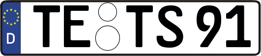 TE-TS91