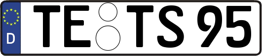 TE-TS95