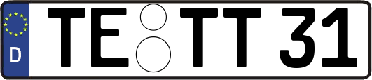 TE-TT31