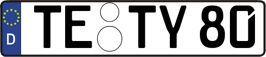 TE-TY80