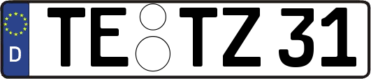 TE-TZ31