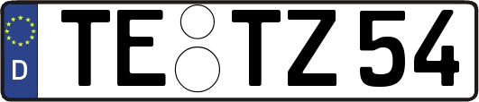 TE-TZ54