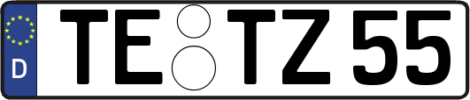 TE-TZ55
