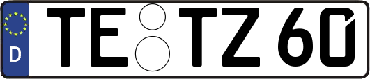 TE-TZ60