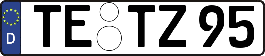 TE-TZ95