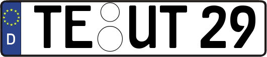 TE-UT29
