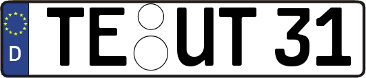 TE-UT31