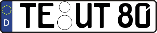 TE-UT80